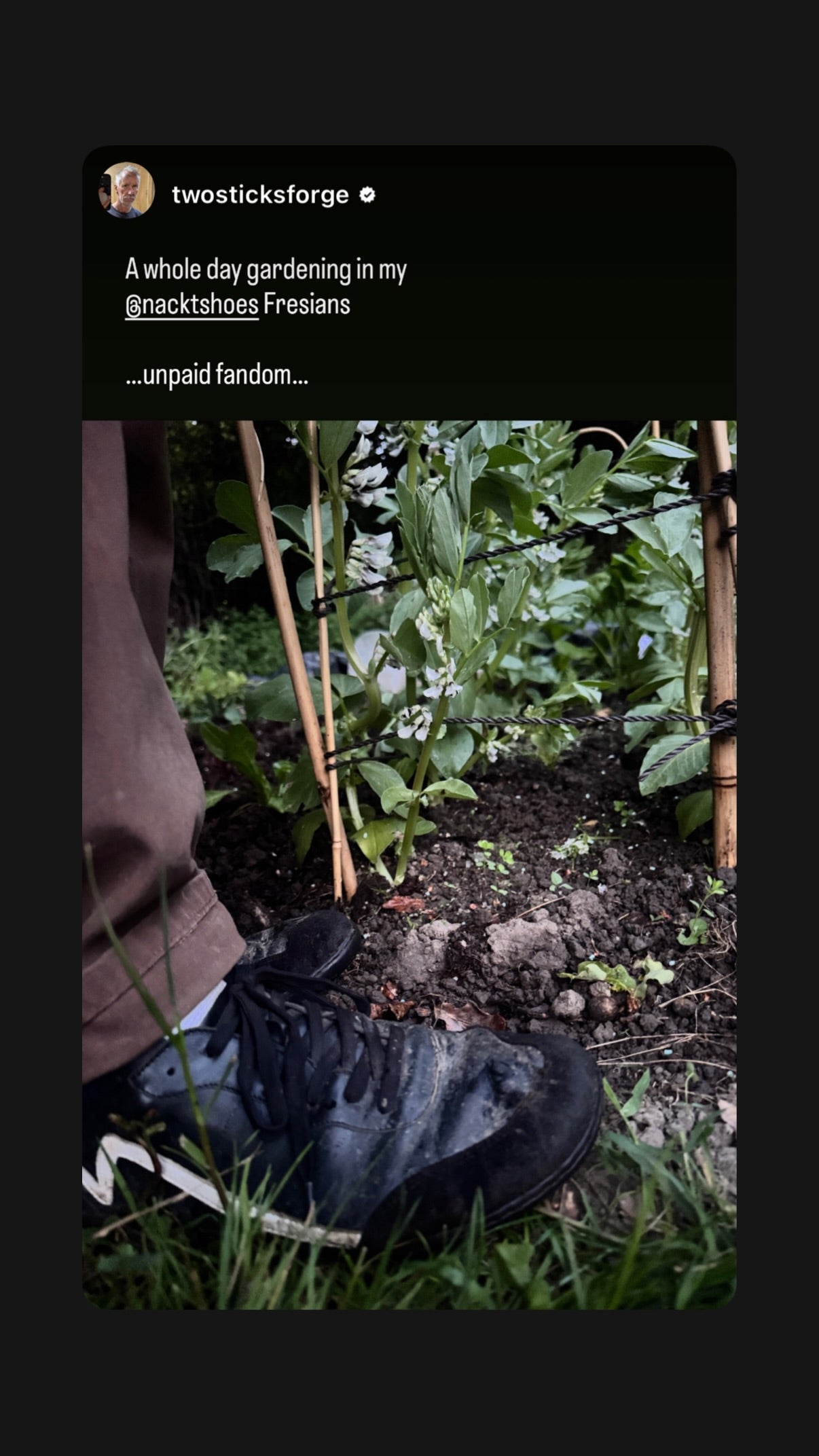 Customer testimonial shared on Instagram